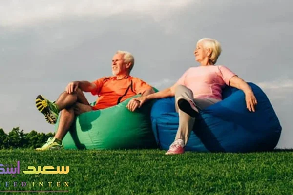 مبل شنی بهتر است یا مبل های راحتی یا کلاسیک قدیمی