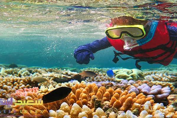 نحوه استفاده از اسنورکل شنا