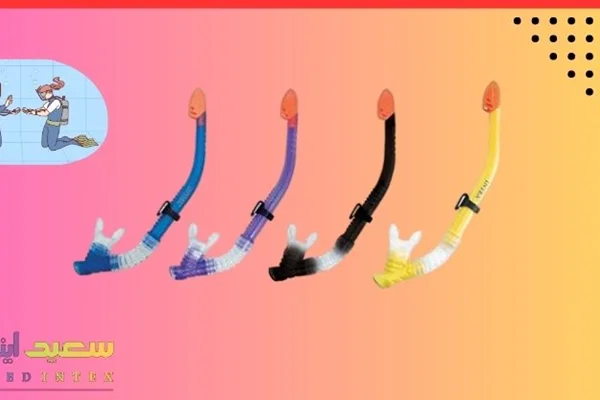 اسنورکل شنا اینتکس را از کجا بخرم